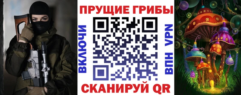 Псилоцибиновые грибы Psilocybe Ейск