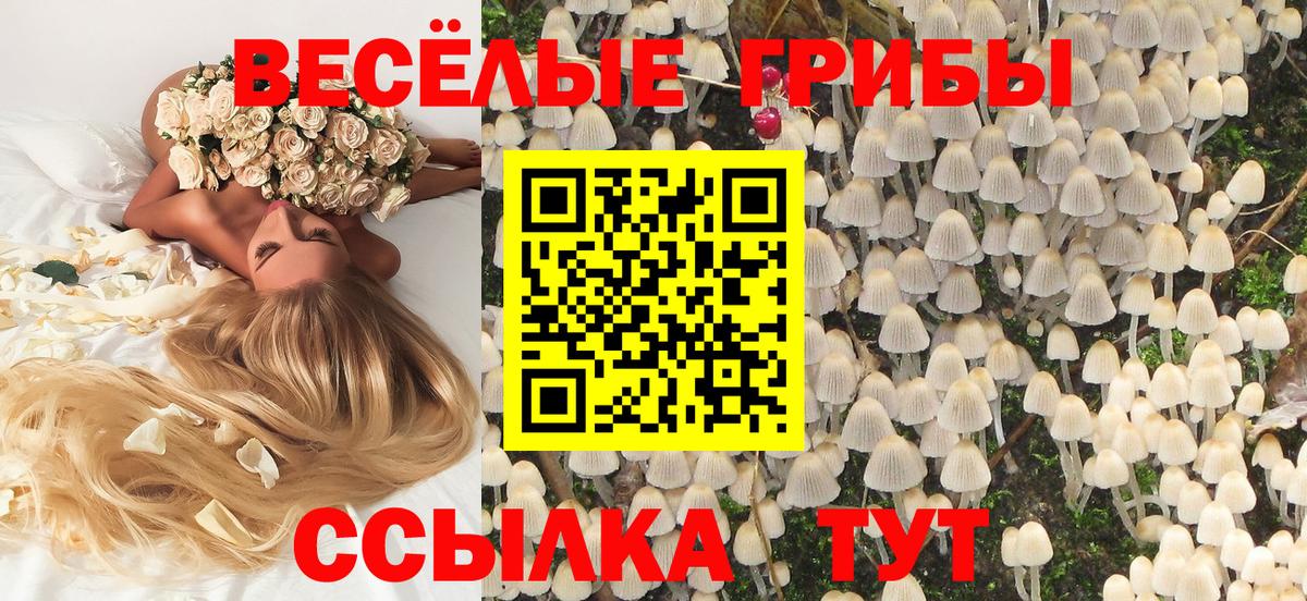 Галлюциногенные грибы мицелий Ейск
