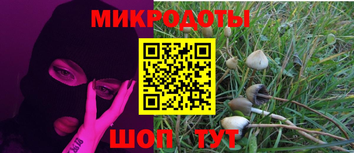 Ейск  Галлюциногенные грибы Magic Shrooms  Вход с VPN 
